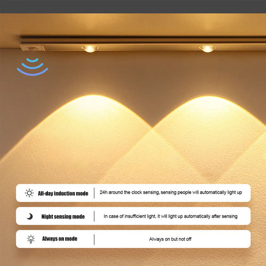 Wireless Induction LED Lamp